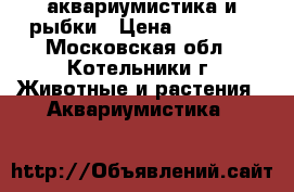 аквариумистика и рыбки › Цена ­ 12 000 - Московская обл., Котельники г. Животные и растения » Аквариумистика   